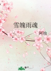《雪魄雨魂》