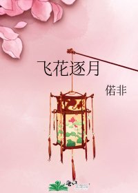 《飞花逐月》