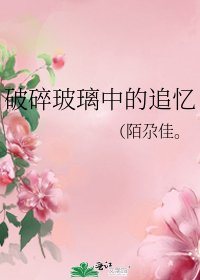 《破碎玻璃中的追忆》