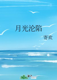 《月光沦陷》