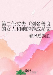 《第二任丈夫(别名善良的女人和她的养成系丈夫)》